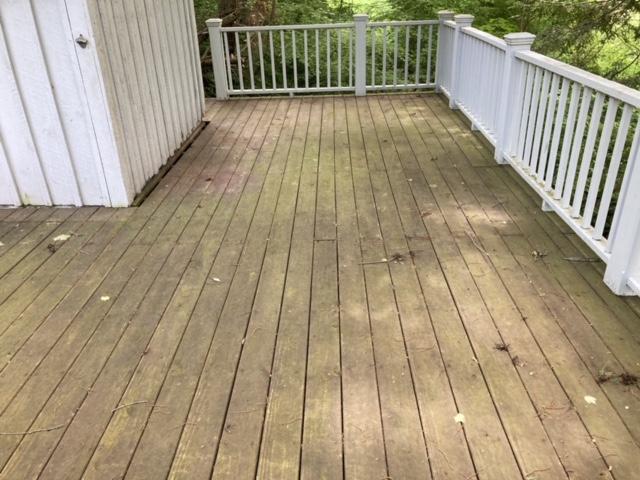 We came to this home and the deck looked lifeless.